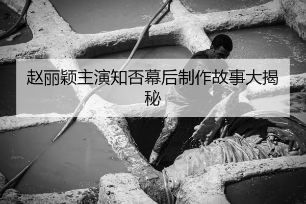 赵丽颖主演知否幕后制作故事大揭秘